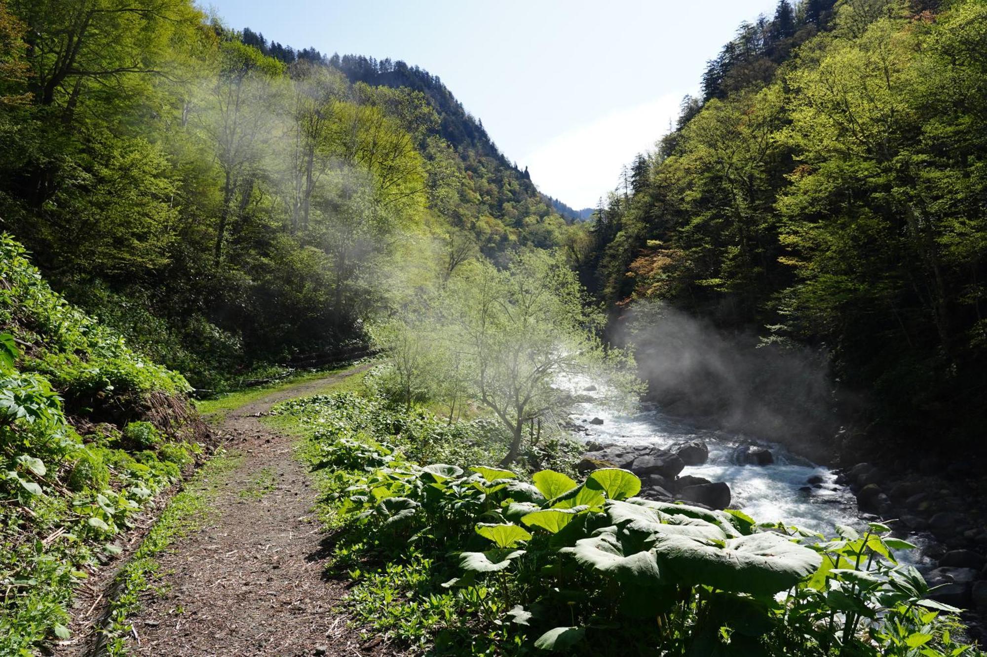 Shikishimaso Hotel ฮิกาชิคาวะ ภายนอก รูปภาพ